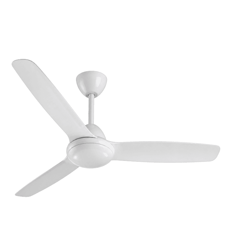 Fans